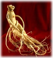 Ginseng Koreano